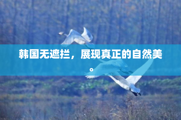 韩国无遮拦，展现真正的自然美。