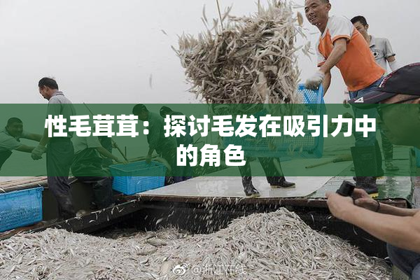 性毛茸茸：探讨毛发在吸引力中的角色