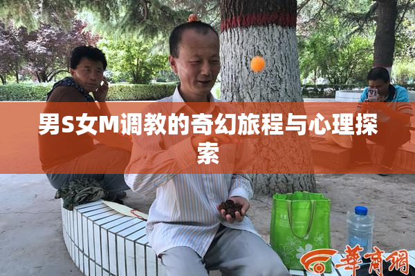 男S女M调教的奇幻旅程与心理探索