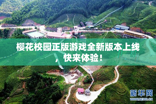 樱花校园正版游戏全新版本上线，快来体验！
