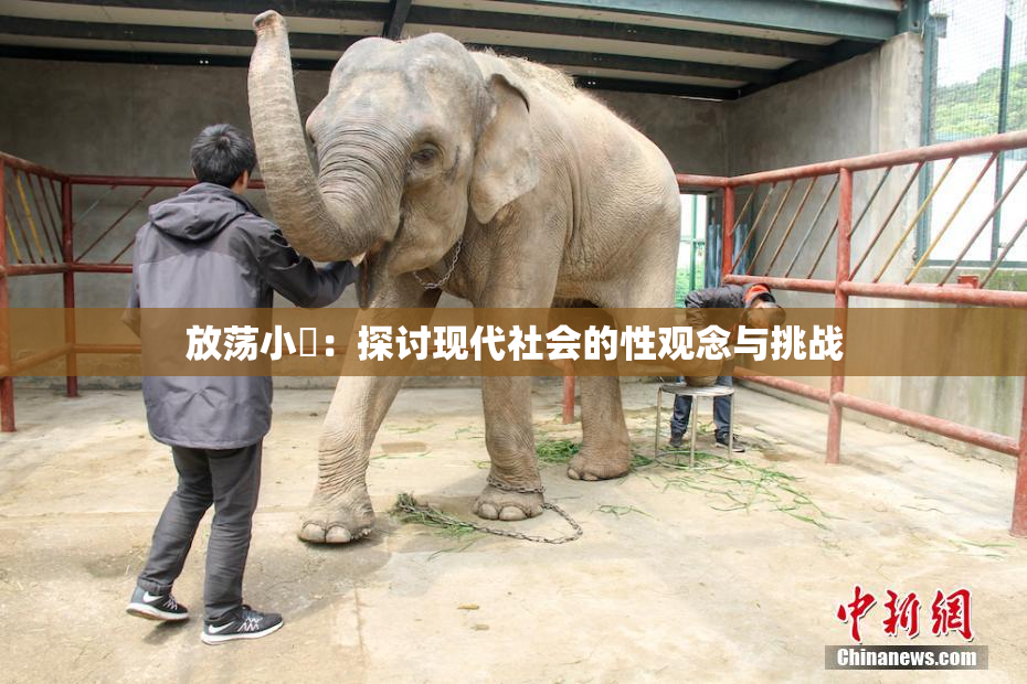 放荡小婬：探讨现代社会的性观念与挑战