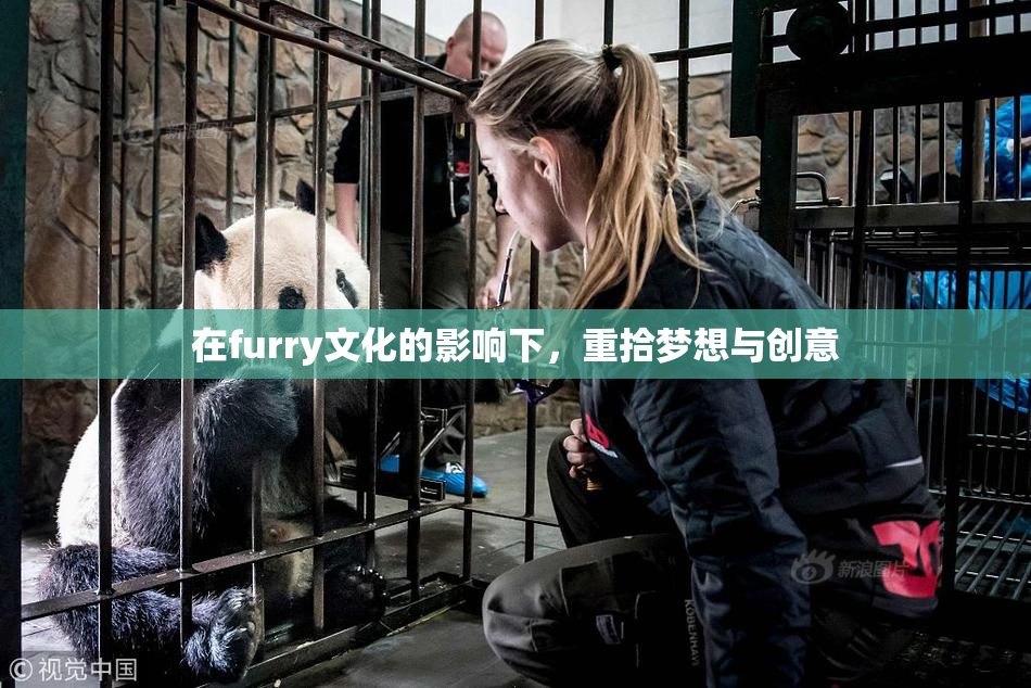 在furry文化的影响下，重拾梦想与创意