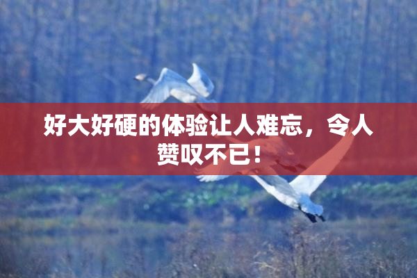 好大好硬的体验让人难忘，令人赞叹不已！