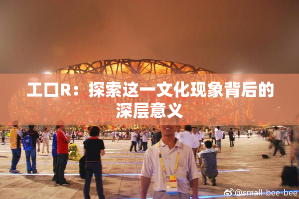 工口R：探索这一文化现象背后的深层意义