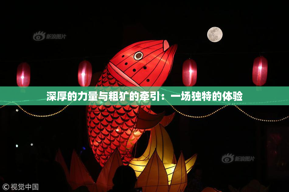 深厚的力量与粗犷的牵引：一场独特的体验