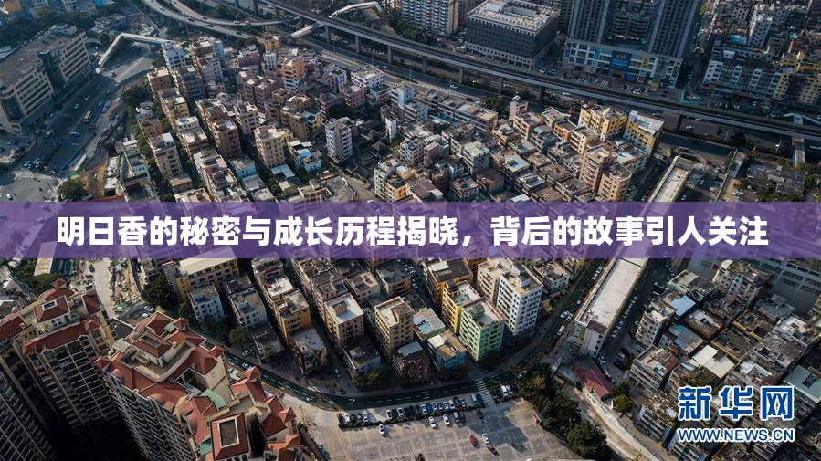 明日香的秘密与成长历程揭晓，背后的故事引人关注
