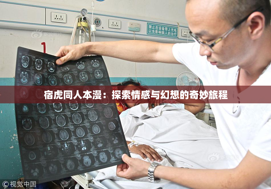 宿虎同人本漫：探索情感与幻想的奇妙旅程