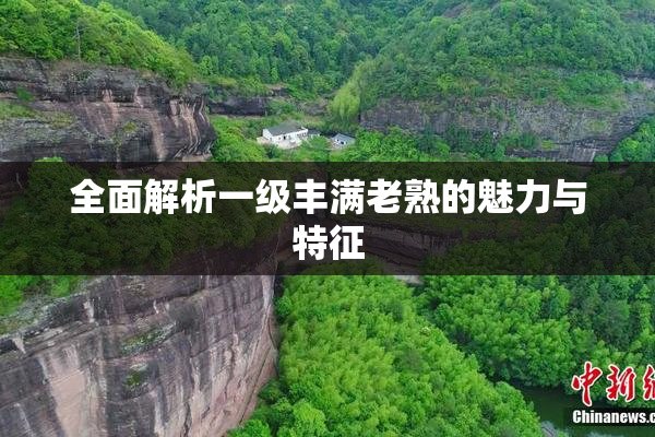 全面解析一级丰满老熟的魅力与特征