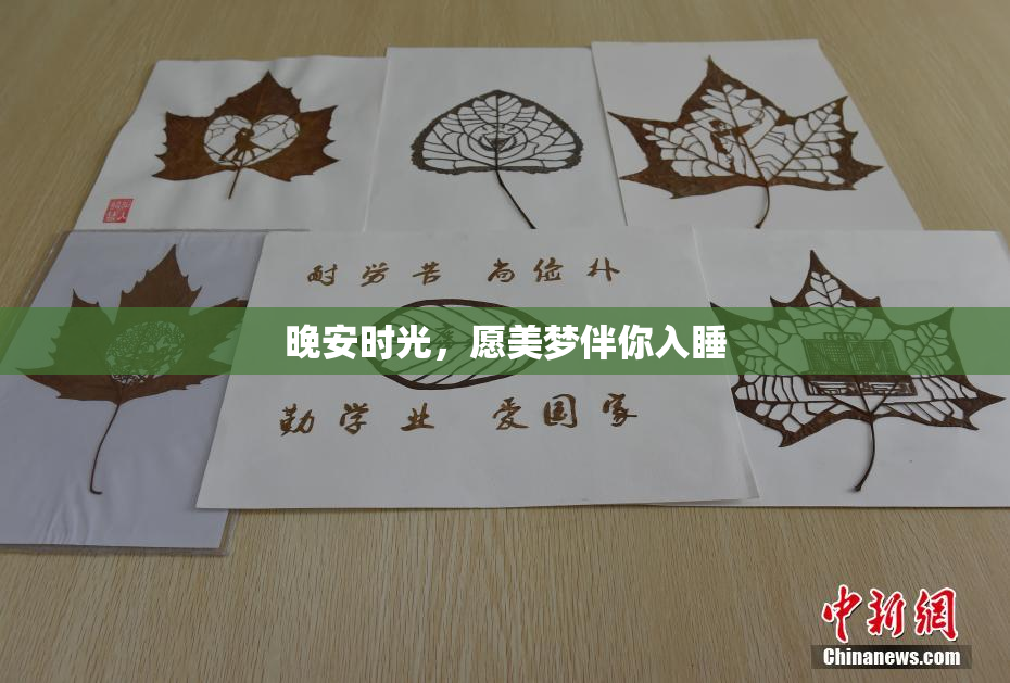 晚安时光，愿美梦伴你入睡
