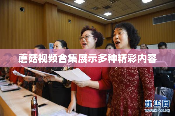 蘑菇视频合集展示多种精彩内容