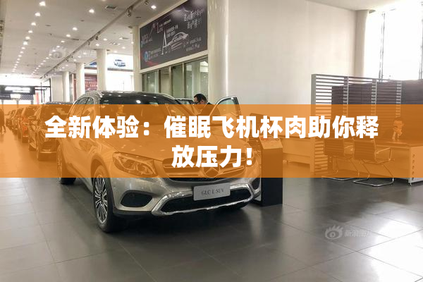 全新体验：催眠飞机杯肉助你释放压力！