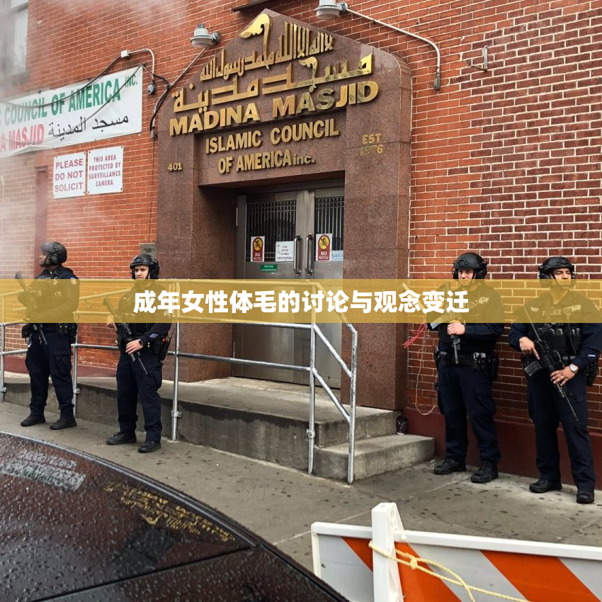 成年女性体毛的讨论与观念变迁