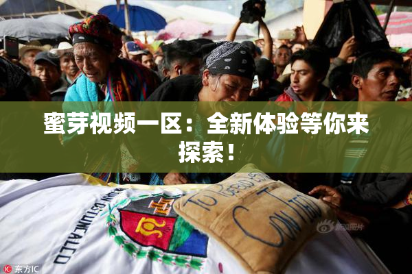 蜜芽视频一区：全新体验等你来探索！
