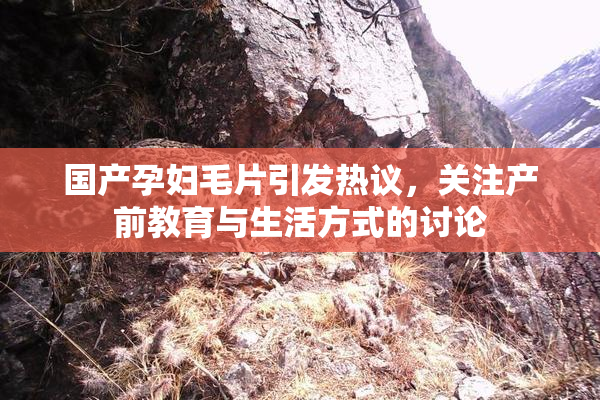 国产孕妇毛片引发热议，关注产前教育与生活方式的讨论