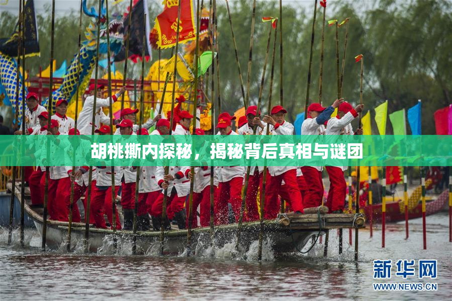 胡桃撕内探秘，揭秘背后真相与谜团