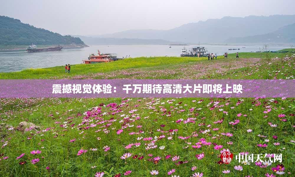 震撼视觉体验：千万期待高清大片即将上映
