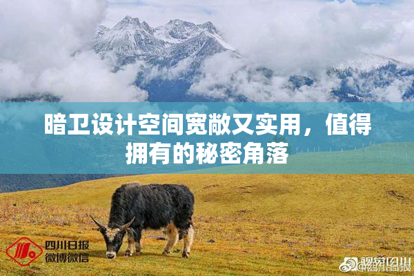 暗卫设计空间宽敞又实用，值得拥有的秘密角落