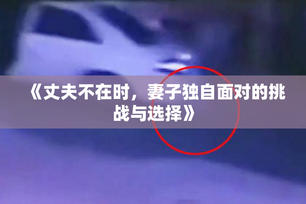 《丈夫不在时，妻子独自面对的挑战与选择》