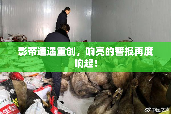 影帝遭遇重创，响亮的警报再度响起！