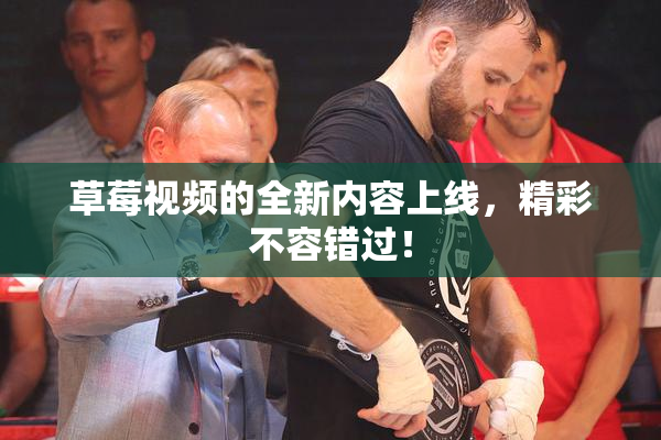 草莓视频的全新内容上线，精彩不容错过！