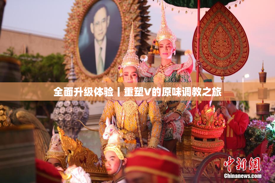 全面升级体验丨重塑V的原味调教之旅