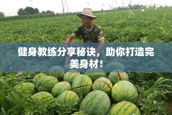 健身教练分享秘诀，助你打造完美身材！