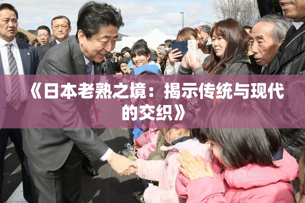 《日本老熟之境：揭示传统与现代的交织》