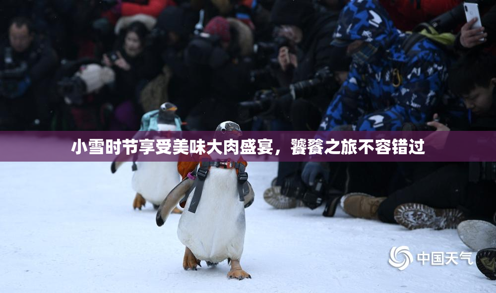 小雪时节享受美味大肉盛宴，饕餮之旅不容错过