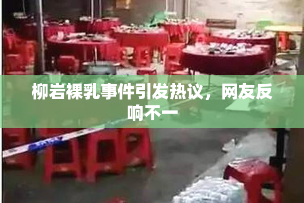柳岩裸乳事件引发热议，网友反响不一