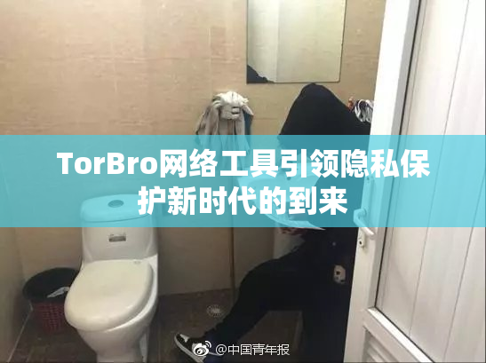 TorBro网络工具引领隐私保护新时代的到来