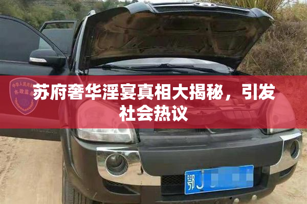 苏府奢华淫宴真相大揭秘，引发社会热议