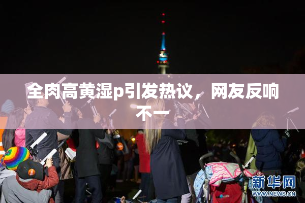 全肉高黄湿p引发热议，网友反响不一