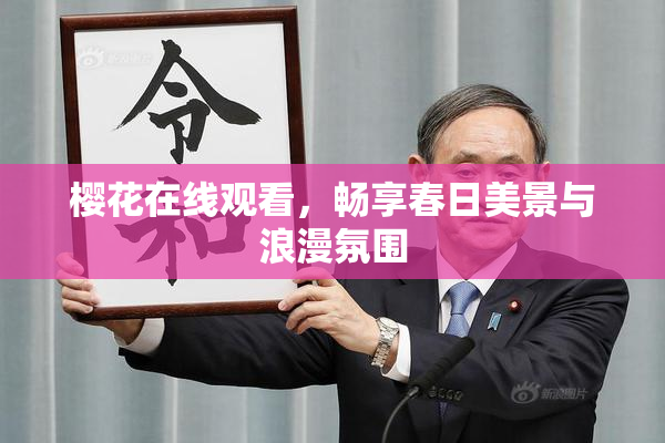 樱花在线观看，畅享春日美景与浪漫氛围