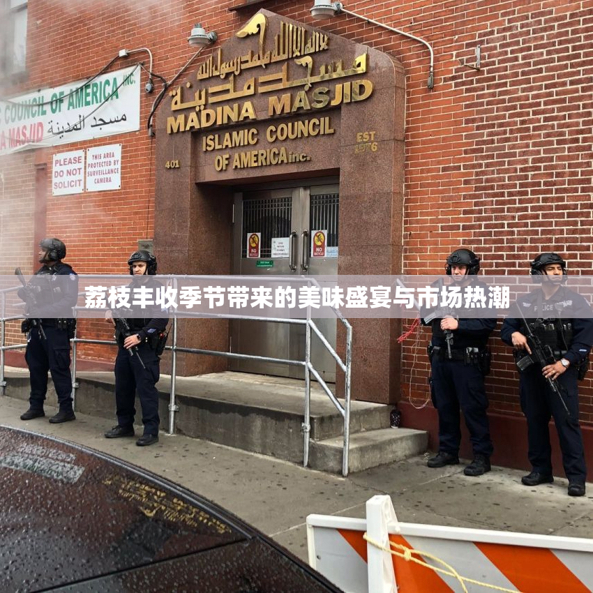 荔枝丰收季节带来的美味盛宴与市场热潮