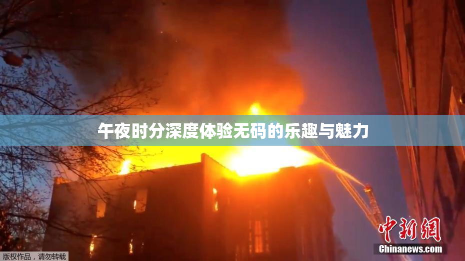 午夜时分深度体验无码的乐趣与魅力
