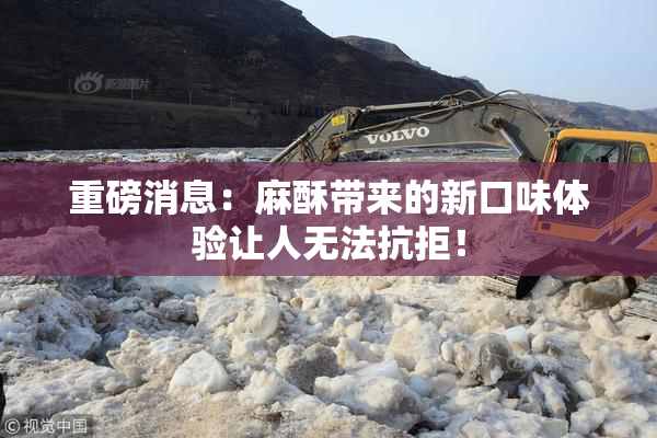 重磅消息：麻酥带来的新口味体验让人无法抗拒！