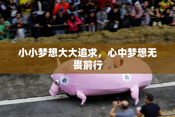小小梦想大大追求，心中梦想无畏前行