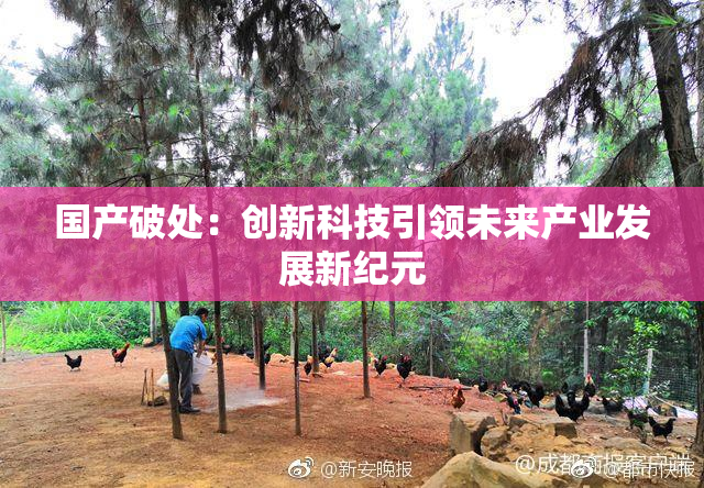 国产破处：创新科技引领未来产业发展新纪元