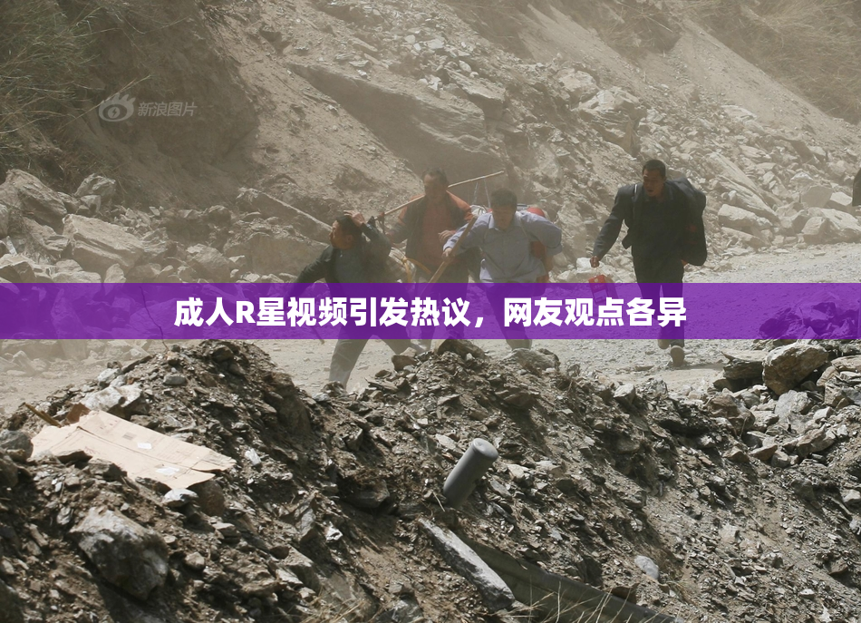 成人R星视频引发热议，网友观点各异
