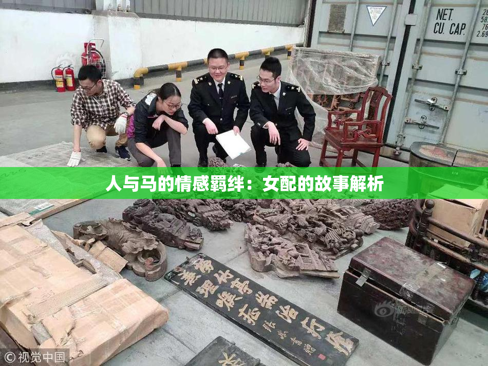 人与马的情感羁绊：女配的故事解析