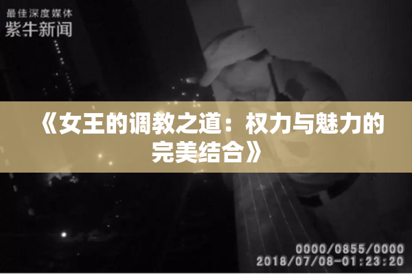 《女王的调教之道：权力与魅力的完美结合》