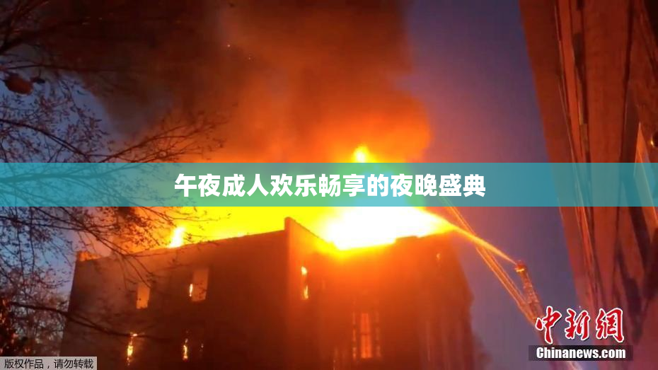 午夜成人欢乐畅享的夜晚盛典
