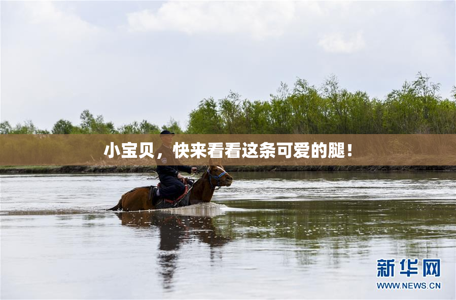 小宝贝，快来看看这条可爱的腿！