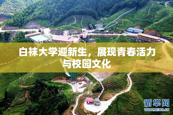 白袜大学迎新生，展现青春活力与校园文化