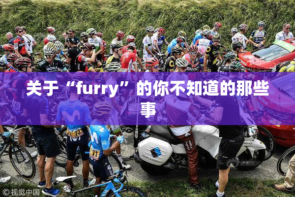 关于“furry”的你不知道的那些事
