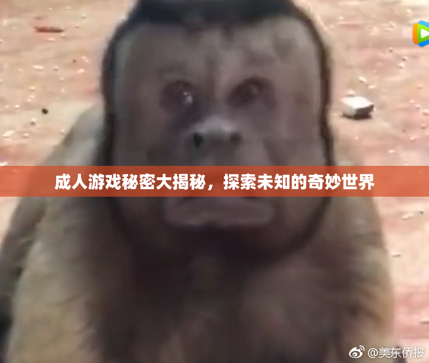 成人游戏秘密大揭秘，探索未知的奇妙世界