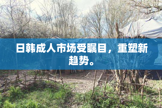 日韩成人市场受瞩目，重塑新趋势。