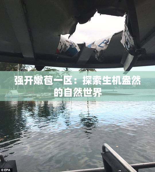 强开嫩苞一区：探索生机盎然的自然世界