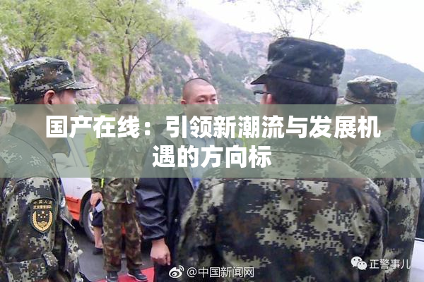 国产在线：引领新潮流与发展机遇的方向标