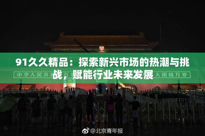 91久久精品：探索新兴市场的热潮与挑战，赋能行业未来发展